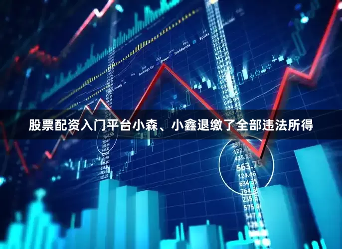 股票配资入门平台小森、小鑫退缴了全部违法所得