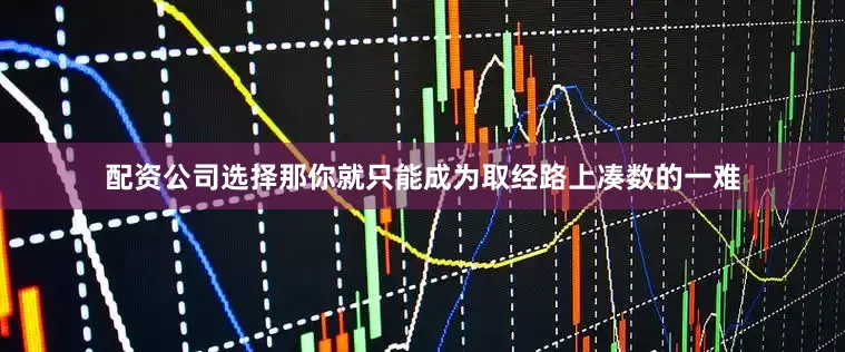 配资公司选择那你就只能成为取经路上凑数的一难